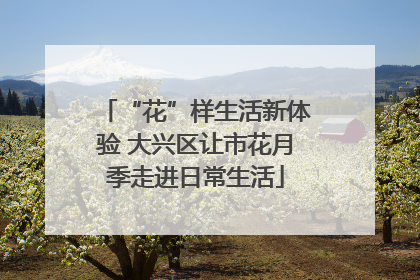 “花”样生活新体验 大兴区让市花月季走进日常生活