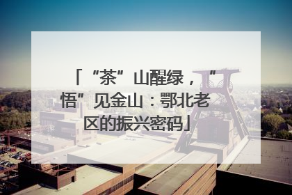 “茶”山醒绿，“悟”见金山：鄂北老区的振兴密码