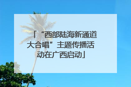 “西部陆海新通道大合唱”主题传播活动在广西启动