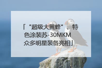 “超级大黄蜂”、特色涂装苏-30MKM 众多明星装备亮相
