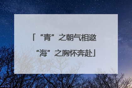 “青”之朝气相邀 “海”之胸怀奔赴