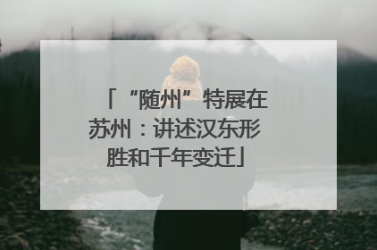 “随州”特展在苏州：讲述汉东形胜和千年变迁