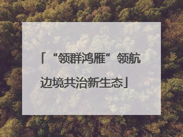 “领群鸿雁”领航边境共治新生态