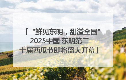 “鲜见东明，甜溢全国” 2025中国·东明第二十届西瓜节即将盛大开幕