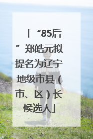 “85后”郑皓元拟提名为辽宁地级市县（市、区）长候选人