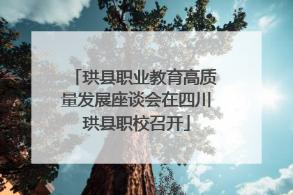 珙县职业教育高质量发展座谈会在四川珙县职校召开
