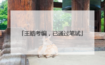 王皓考编，已通过笔试