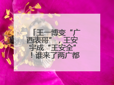 王一博变“广西表哥”，王安宇成“王安全”！谁来了两广都得“腌入味”