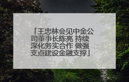 王忠林会见中金公司董事长陈亮 持续深化务实合作 做强支点建设金融支撑