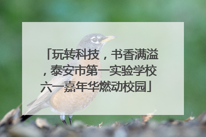 玩转科技，书香满溢，泰安市第一实验学校六一嘉年华燃动校园