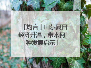 灼言丨山东夏日经济升温，带来何种发展启示