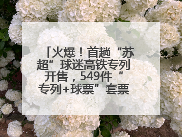 火爆！首趟“苏超”球迷高铁专列开售，549件“专列+球票”套票半小时售罄