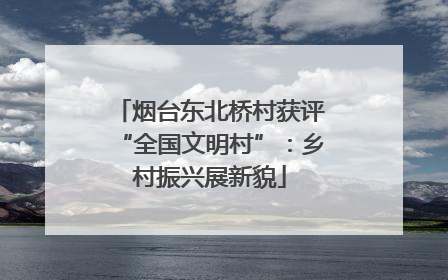 烟台东北桥村获评“全国文明村”：乡村振兴展新貌