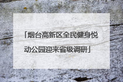 烟台高新区全民健身悦动公园迎来省级调研