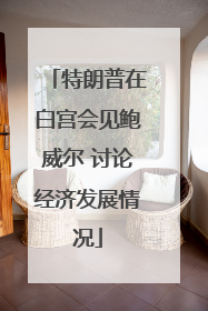 特朗普在白宫会见鲍威尔 讨论经济发展情况