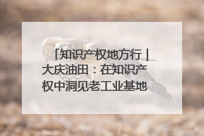 知识产权地方行｜大庆油田：在知识产权中洞见老工业基地的 “创新密码”