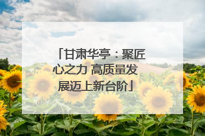 甘肃华亭：聚匠心之力 高质量发展迈上新台阶