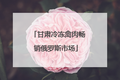 甘肃冷冻禽肉畅销俄罗斯市场