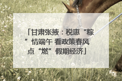 甘肃张掖：税惠“粽”情端午 看政策春风点“燃”假期经济