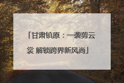 甘肃镇原：一袭剪云裳 解锁跨界新风尚