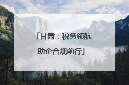 甘肃：税务领航 助企合规前行