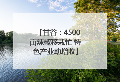 甘谷：4500亩辣椒移栽忙 特色产业助增收