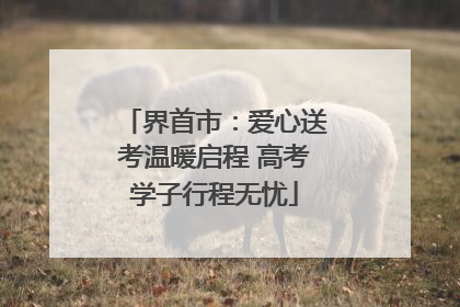 界首市：爱心送考温暖启程 高考学子行程无忧