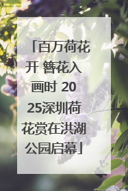百万荷花开 簪花入画时 2025深圳荷花赏在洪湖公园启幕