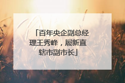百年央企副总经理王秀峰，履新直辖市副市长