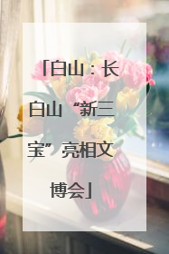 白山：长白山“新三宝”亮相文博会