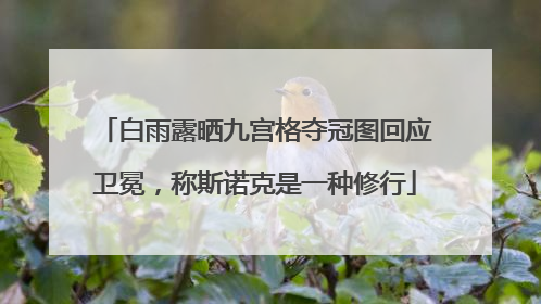 白雨露晒九宫格夺冠图回应卫冕，称斯诺克是一种修行