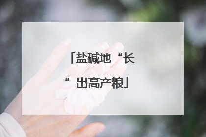 盐碱地“长”出高产粮