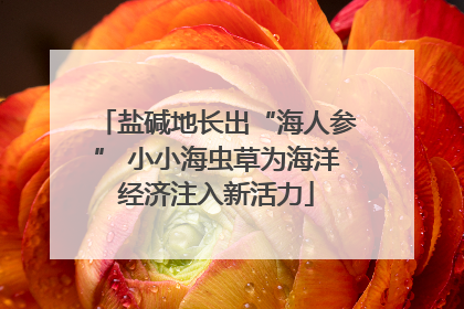 盐碱地长出“海人参” 小小海虫草为海洋经济注入新活力