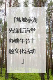 盐城亭湖先锋街道举办端午节主题文化活动