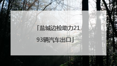 盐城边检助力2193辆汽车出口