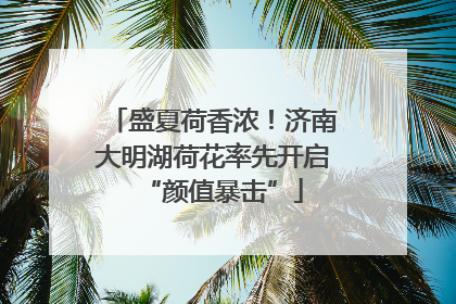 盛夏荷香浓！济南大明湖荷花率先开启“颜值暴击”