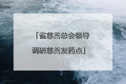 省慈善总会领导调研慈善发药点