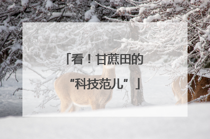 看！甘蔗田的“科技范儿”