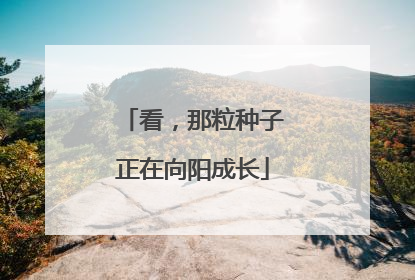 看，那粒种子正在向阳成长