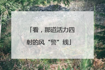 看，那道活力四射的风“警”线