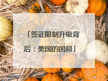 签证限制升级背后：美国的困局