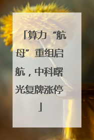算力“航母”重组启航，中科曙光复牌涨停