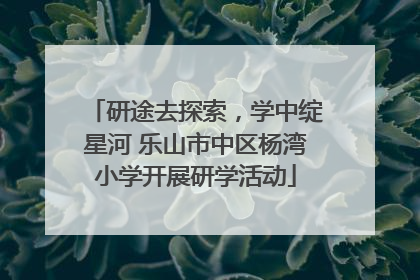 研途去探索，学中绽星河 乐山市中区杨湾小学开展研学活动