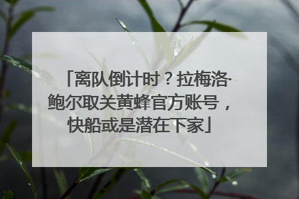 离队倒计时？拉梅洛·鲍尔取关黄蜂官方账号，快船或是潜在下家