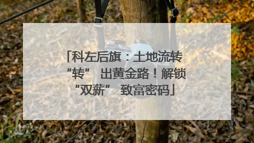 科左后旗：土地流转 “转” 出黄金路！解锁 “双薪” 致富密码