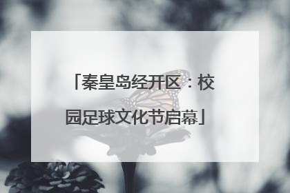 秦皇岛经开区：校园足球文化节启幕