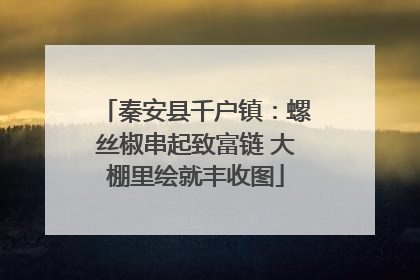 秦安县千户镇：螺丝椒串起致富链 大棚里绘就丰收图