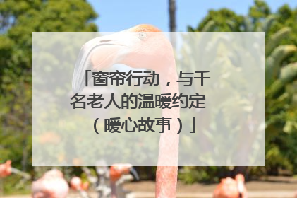 窗帘行动，与千名老人的温暖约定（暖心故事）