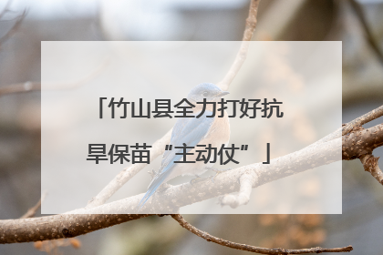 竹山县全力打好抗旱保苗“主动仗”