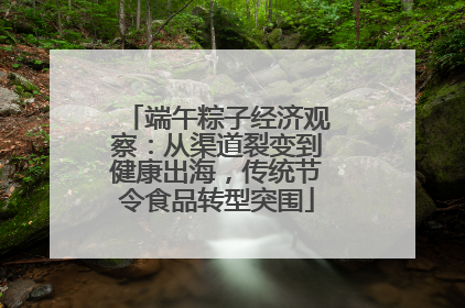 端午粽子经济观察：从渠道裂变到健康出海，传统节令食品转型突围